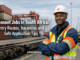 South African freight and logistics worker in safety gear near rail cargo and terminal equipment, representing Transnet jobs and safe application routes.